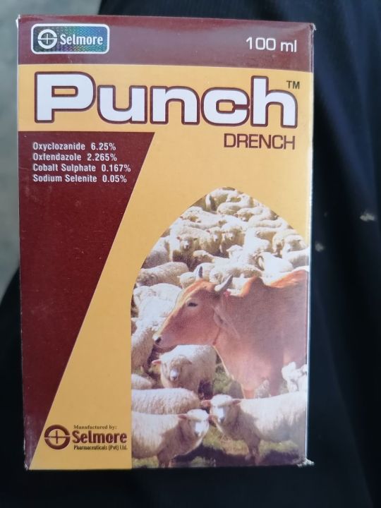Punch 100ml