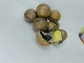 Macadamia Nuts 250 grams | Chabi wale akhrote. 