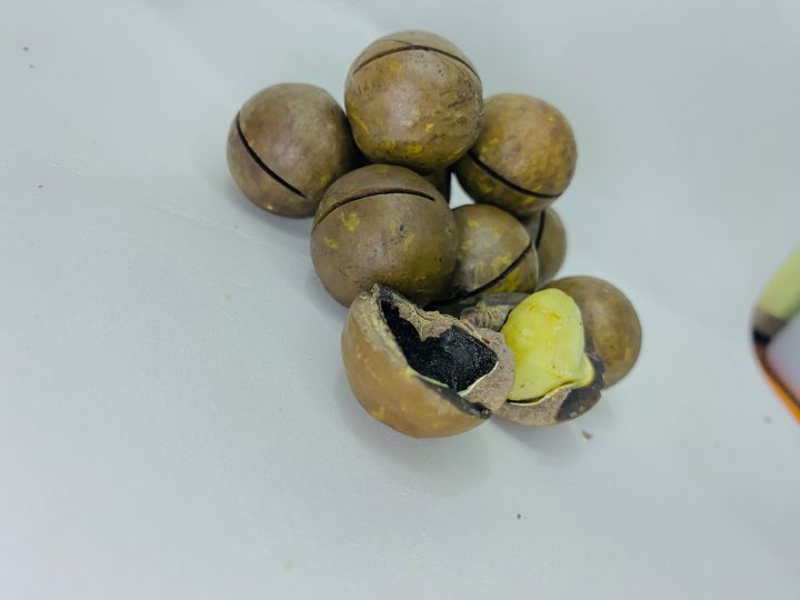 Macadamia%20Nuts%20250%20grams%20%7C%20Chabi%20wale%20akhrote%20-%20Image%204