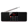 Retekess TR602 Portable Radio AM FM Digital Bluetooth Speaker Stereo MP3 Player TF SD Card USB Handsfree Call for Kids and Old.