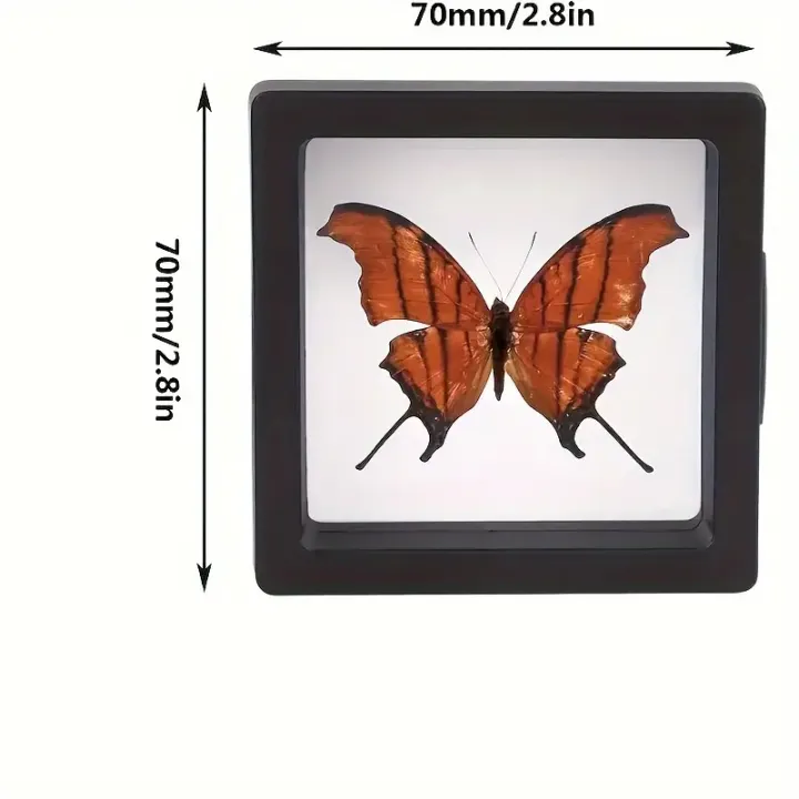 20Pcs%20Clearview%203D%20Floating%20Display%20Cases%20Dustproof%20Acrylic%20Jewelry%20Storage%20Box%20with%20Elastic%20Film%20Transparent%20Hanging%20Organizer%20-%20Image%202