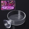 Mini Size Shrimp Feeding Dish Aquarium Fish Tank Reptiles Feeder Bowl with Suction Cup,Acrylic Material. 