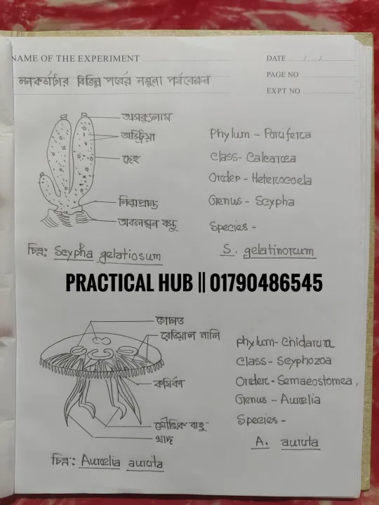 Hsc%202025%20Biology%202nd%20Paper%20Full%20Complete%20Practical%20Notebook%20-%20Image%207