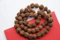 Natural Rudraksha Mala- Pure Nepali Original Lab Tested And Certified - 5 Mukhi Rudraksha 108 Mala. 