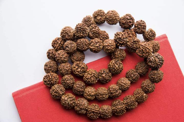 Natural%20Rudraksha%20Mala-%20Pure%20Nepali%20Original%20Lab%20Tested%20And%20Certified%20-%205%20Mukhi%20Rudraksha%20108%20Mala%20-%20Image%202