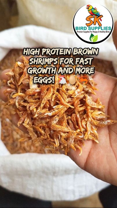 1kg%20Dried%20Small%20Prawns%20/%20Sookha%20Jheenga/%20Dried%20Small%20Shrimps%20/%20Sukha%20Jhinga%20for%20Birds,%20Poultry,%20Fish,%20Turtles,%20Reptiles%20Etc%20-%20Image%203