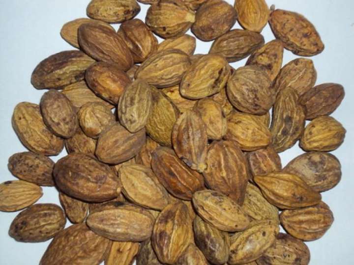 Dried%20Aralu%20Powder%20-%20100g%20pack%20%E0%B6%85%E0%B6%BB%E0%B7%85%E0%B7%94%20%E0%B6%9A%E0%B7%94%E0%B6%A9%E0%B7%94%20-%20Image%203