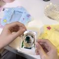 Cute Plush Photocard Case Student Card Holder Bag keychain Star Shape Photo Card Holder Idol Photos Protective Cover Cartoon. 