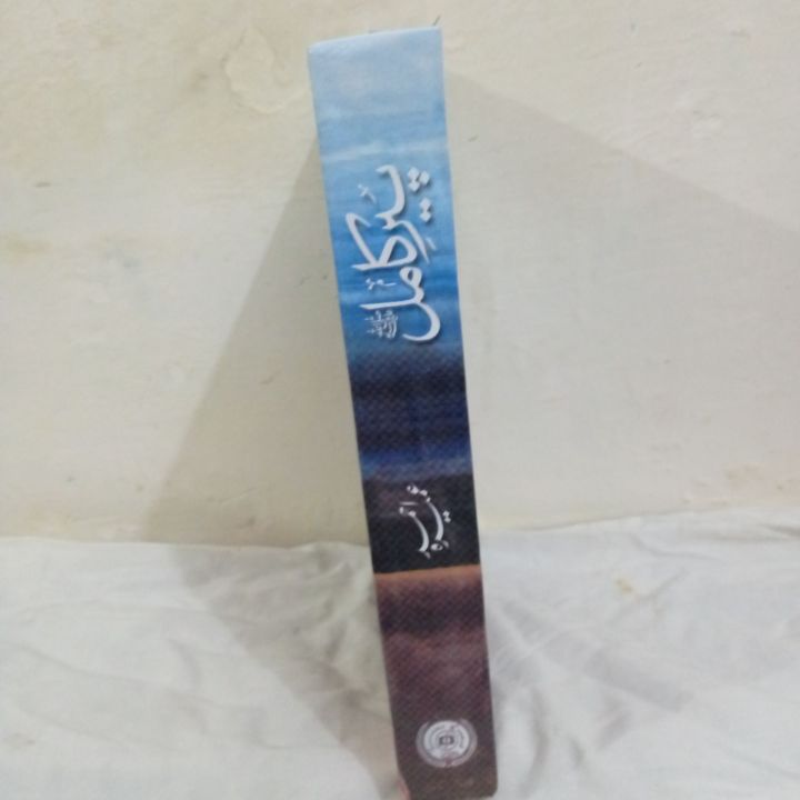 Pack%20of%202%20Umera%20Ahmed%20Most%20Sellin%20Book%20Peer%20e%20Kamil%20Aab%20e%20Hayat%20Complete%20_BBS%20-%20Image%203