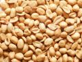 Mong Phali Dana Fried (Peanuts) 500 gm. 