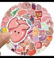 25 pcs internal anatomy of human being funny stickers for doctor's  laptop, mobile ,diary ,books and for science students ,kids etc.... 