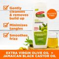 Palmer's Olive Oil Formula Shine therapy Shampoo 400ml Sulphate free. 