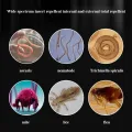 NEW Livestock Poultry Pigs Chickens Fleas Ticks Blood-sucking Worms Internal and External Deworming  Anti-inflammatory tablets. 