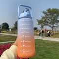 1pc Gradient Frosted Water Bottle With Handle Outdoor Portable Straw Cup. 