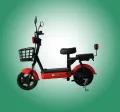 Evee Flipper Electric Bike. 