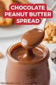 Dark Chocolate Peanut Butter Spread  (Organic/Homemade). 