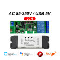2 Channel Zigbee Tuya Smart Switch Relay Module DC12V 24V 220V Automatic Controller Dry Contact Receiver for Light Motor Garage. 