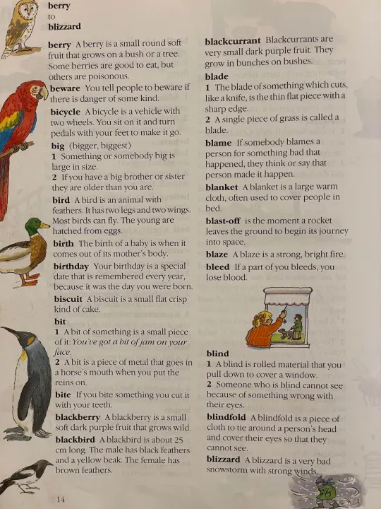 Collins%20Primary%20Dictionary%20-%20Image%206