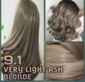 Bremod Professional Hair Color (9.1) Very Light  Ash Blond (Tube + Developer Volume) (100ml). 