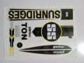 New 3D 2023 NEW SS TON  SUNRIDGER BLACK Edition Cricket Bat Sticker For Professional Players. 