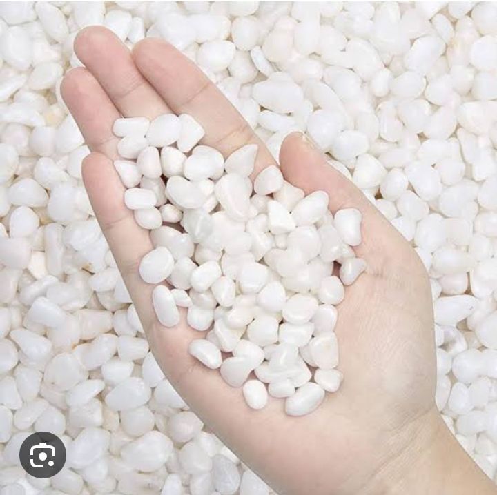 Aquarium white Stone-2kgs | Daraz.com.bd - White Aquarium Stone Elements