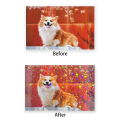 20 Sheets A4 Holographic Cold Laminating Film Clear Self-Adhesive Vinyl Sticker 8.3x11.7 Inch Waterproof 5 Styles. 