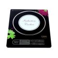 VISION Induction Cooker VISION-1204 Border Eco. 