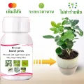 (200 tablets) treatment of aphids, all kinds of aphids, kill aphids, do not hurt plants, improve soil, insect control red mites, thrips, cold aphids, aphids in the Rose.. 
