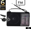 Radio 4 Bands With AC/DC Leather Carry Handle Real Transformer. Portable. 