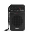 VIKEFON Portable AM FM Pocket Radio Two Band Mini Radio with Headphone Jack 2 *AA Battery Powered Crystal Radio for Home Outdoor. 