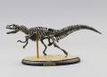 Assemble Dinosaur Bones Triceratops Skeleton  Mammoth Mammuthus Assembled  Tyrannosaurus Rex Puzzles  Toys. 