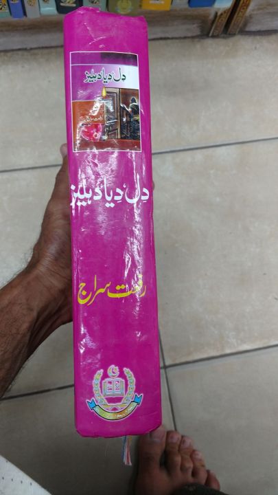 Dil%20diya%20Dehleez%20book%20by%20Rifaat%20siraj%20-%20Image%202