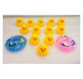 Duck Toys 12 pices Play Set. 