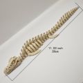 1 Piece Realistic Mosasaurus Skeleton Replica Aquarium Decoration Large Dinosaur Skeleton Model with White Fins and Tail for Fish Tank Decoration Marine Reptile Display Paleontology Themed  Suitable for Collectors and Aquarium Enthusiasts (for Fish). 