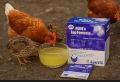 ACME’s Egg Formula Vet (100g) – Vitamin & Mineral Premix for Better Egg Production egg formula vet. 