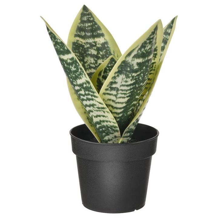 IKEA Artificial potted plant, in/ outdoor, Dia: 9 cm, Height: 21 cm