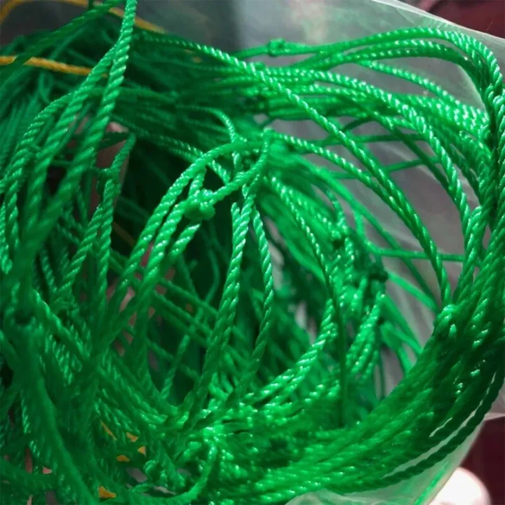 High-quality%20Garden%20Climbing%20Netting%20Strong%20Nylon%20Plant%20Trellis%20for%20Climbing%20Plants%20Loofah%20Morning%20Glory%20Flowers%20Cucumber%20Vine%20-%20Image%204