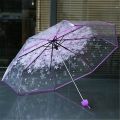 Transparent Umbrella for Women Foldable Daisy Design Windproof Rainproof Portable Cute Flower PVC Umbrella for Girls. 