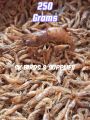 250g Dry Jheenga Sookha Jheenga Brown Jhinga Sukha Jhinga Dried Prawns Dried Shrimps (flavorful and protein-rich supplement for birds). 