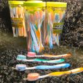 Matador Soft ToothBrush With Cap- 1 Jar -12 Pcs.