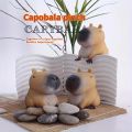 Cute Porpoise Pressure Reducing Wet Soft Toys Fashionable Network New Fast Rebound Squeezing Funny Animal Toys Release Anxiety. 