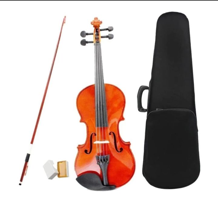 4/4 Size Violin with Bow+Case+Rosin for Violin Beginners
