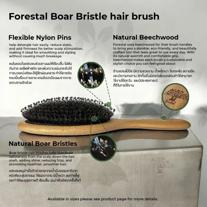 Forestal%20boar%20bristle%20hair%20brush%20(Beechwood)%20-%20Image%204