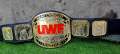 HEAVYWEIGHT UWF CHAMPION. 