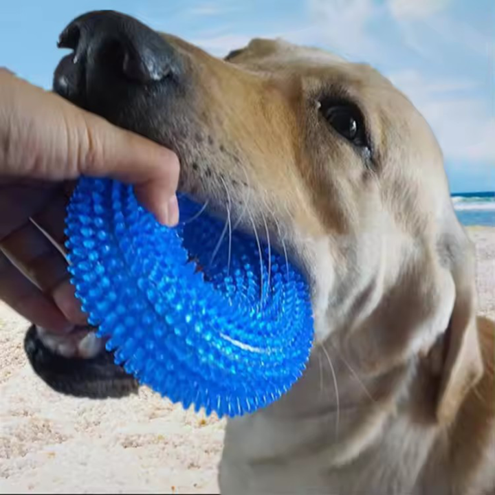 Dog Chew Toy Durable Squeaky Thorn Ring Interactive Sound Training Natural TPR Teeth Cleaning Grinding Non Toxic Puppy