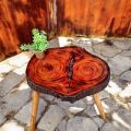 Live Edge Coffee Table (18 Inches Hight). 