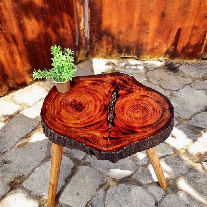 Live%20Edge%20Coffee%20Table%20(18%20Inches%20Hight)%20-%20Image%204