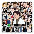 50 Piece Harry Styles Stickers Waterproof DIY For Phones Laptop Car Sticker Creative Home Decal. 