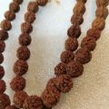 Rudraksha beed mala natural nut good for body. 