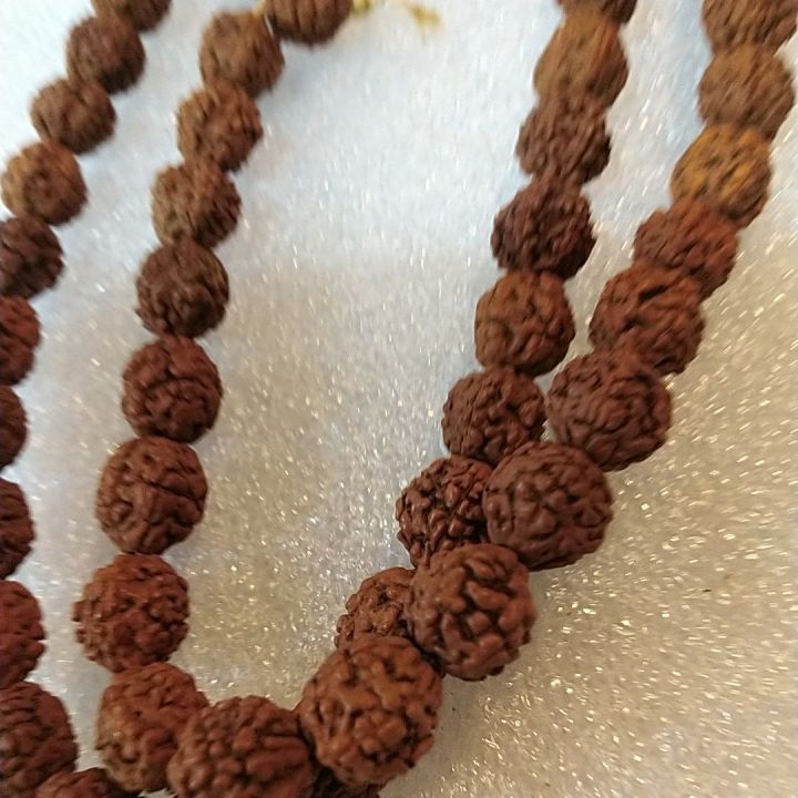 Rudraksha%20beed%20mala%20natural%20nut%20good%20for%20body%20-%20Image%204